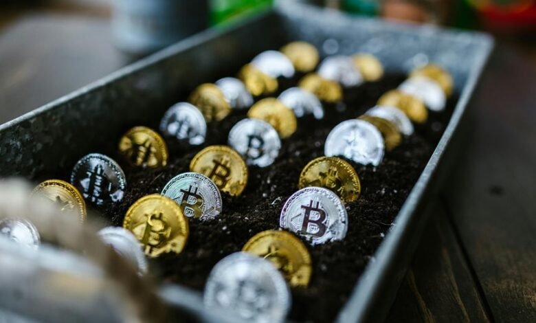 investing in high growth stocks