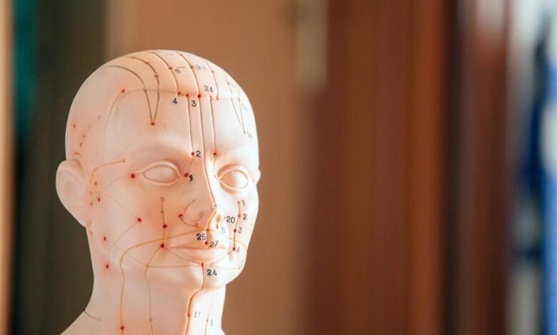 reference file number list