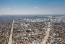 sector expansion overview data